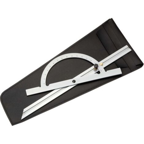 Rapporteur 200 mm Métrique ( Prix pour 1 )