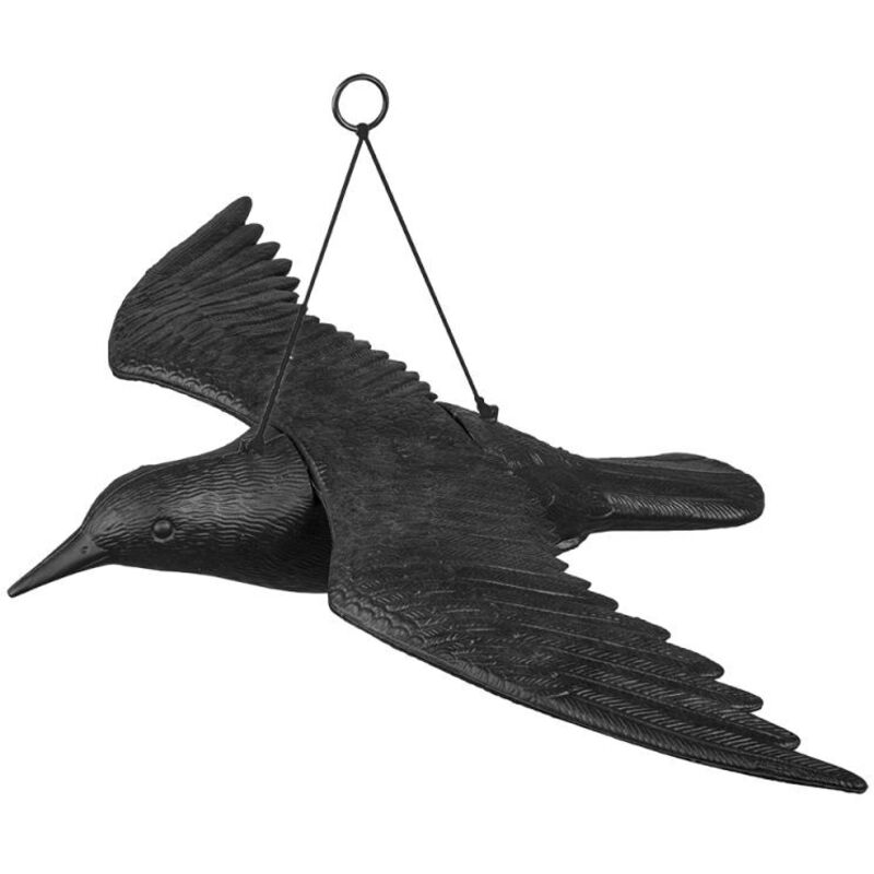 Répulsifier Corbeau En Vol