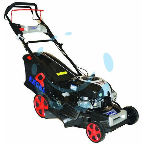 RASAERBA A SCOPPIO B&S CC.161