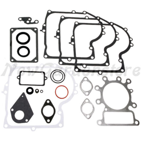 Rasentraktor Dichtungssatz BRIGGS&STRATTON kompatibel 495993