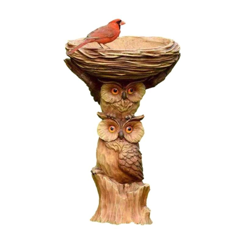 Xinuy - raspberry Mangeoire Oiseaux, Bain d'oiseaux, Hibou Style Abreuvoir à Oiseaux Extérieur, Artisanat Résine Fait Main,141422cm