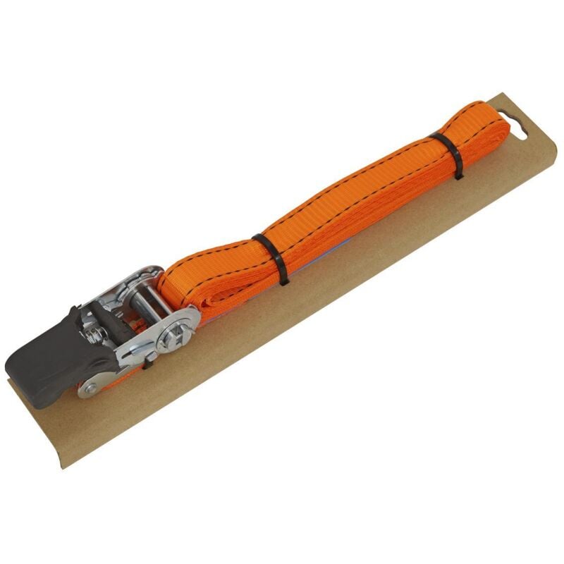 Sealey - TD0635E Ratchet Strap Polyester Webbing with Corner Protector 25mm x 5m 600kg Breaking Strength