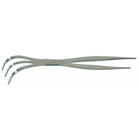 Râteau-pincette inox pour Bonsaï Spear And Jackson
