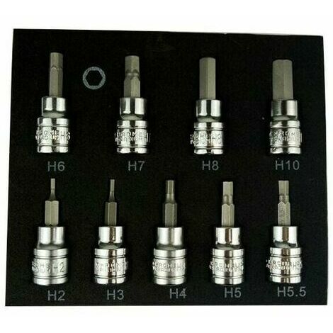 Ratschen- und Steckschlüsselsatz Satz mit 9 Innensechskantschlüsseln für metrische 3/8" Dr Drive 2-10 mm Inbusschlüssel
