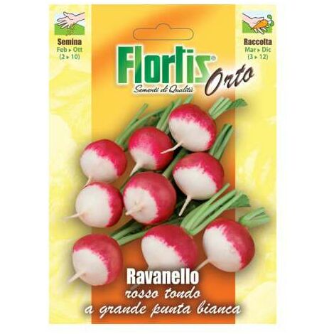 Ravanello Tondo Rosso Piccante