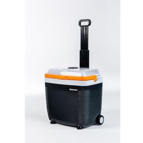 Ravanson Raffreddatore portatile elettrico CS-28S Nero Grigio 28 L