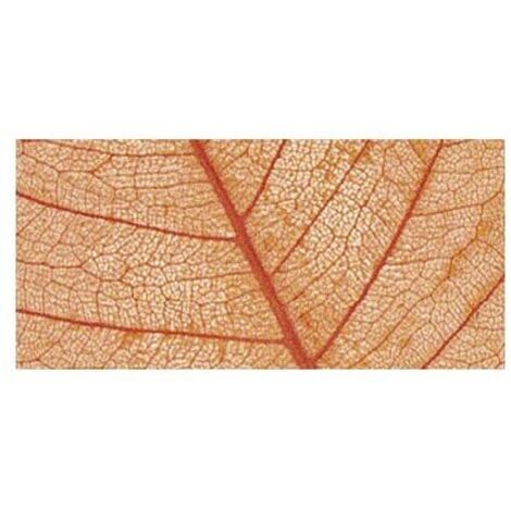 RAYHER - 8 PEZZI - SCHELETRO DI FOGLIA WILLOW 6-10CM - COLORE ARANCIONE