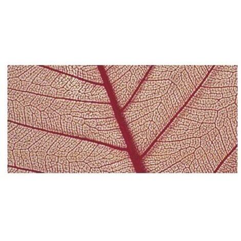 RAYHER - 8 PEZZI - SCHELETRO DI FOGLIA WILLOW 6-10CM - COLORE ROSSO