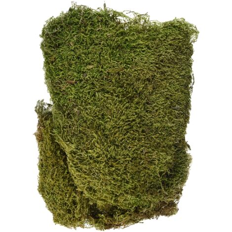 Rayher Cucina, Verde/Marrone, 29 x 23 x 5 cm