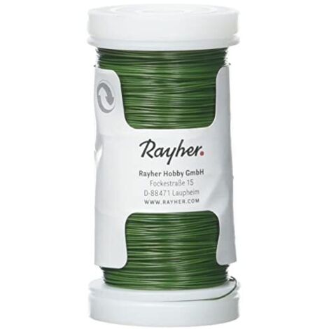 Rayher Fil di Ferro Fioristica, Verde Scuro, 0,35 Mm Ø, Spoletta 100 M, 2400113