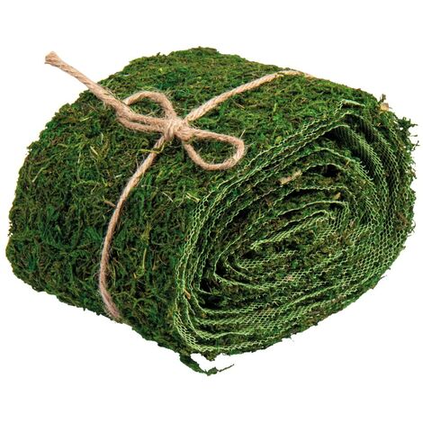 Rayher Nastro Muschio, 10Cm, Rotolo 2M, 5531800