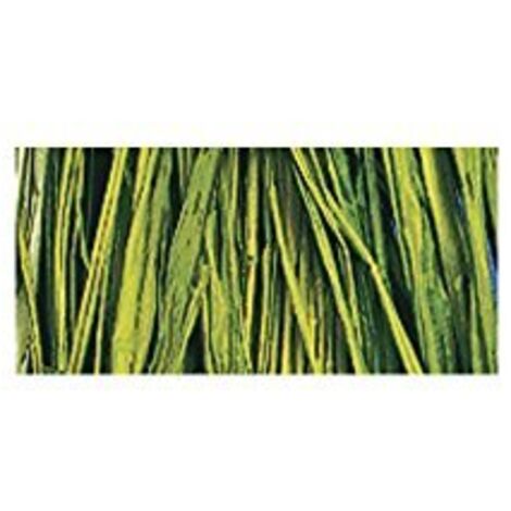 RAYHER - RAFIA NATURALE COLORE VERDE MAGGIO MATASSINA  25GR.