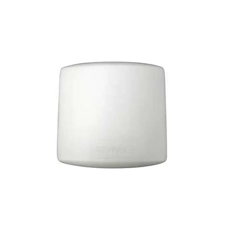 Somfy - 1810628 - Récepteur d'éclairage extérieur Rts