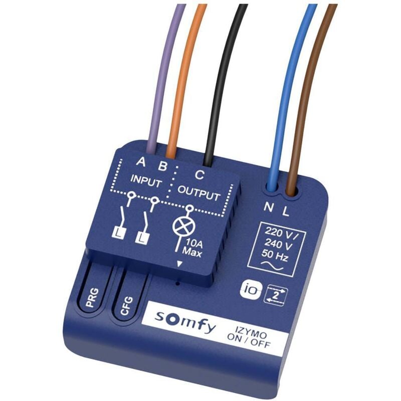 Somfy - io (Izymo) 1822649 Accessoire pour système d'alarme sans fil Récepteur sans fil