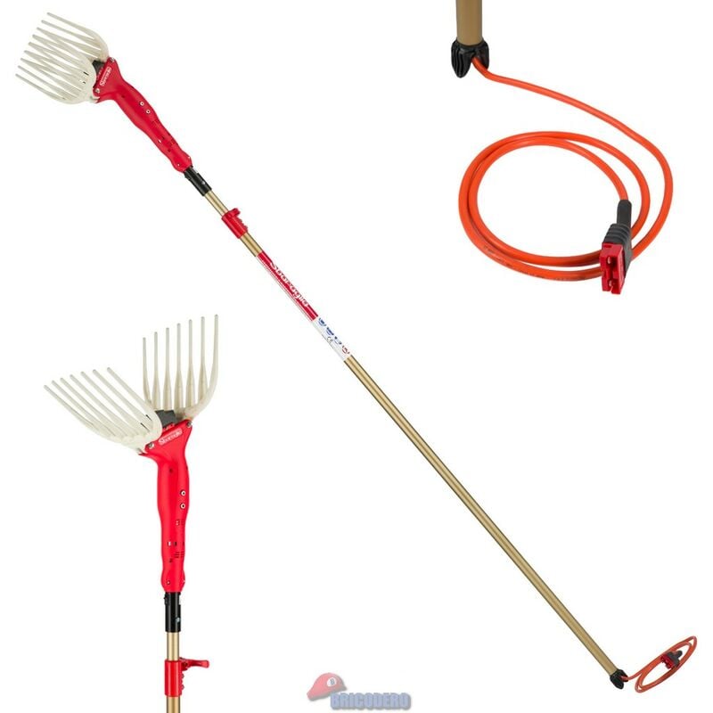 Récolteuses d'olives