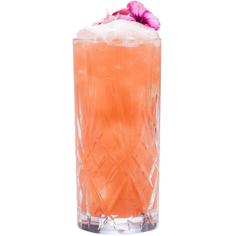 RCR Cristalleria Italiana Melodia - HB - Set da 6 Bicchieri Long Drink in Vetro