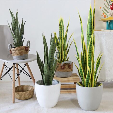 Realistische Dekoration für drinnen und draußen – künstliche Sansevieria in der Vase – künstliche Tropenpflanze mit königlichem Charme – für Zuhause, Büro, Wohnzimmer, Garten – 50 cm – Gelb