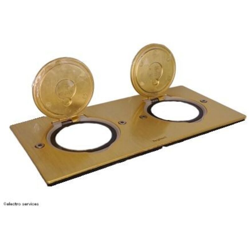 Legrand - réceptacle - pour prise de sol - carré - double - bronze 089712