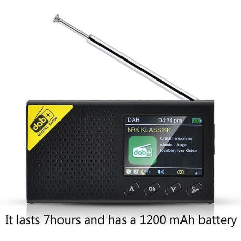 Récepteur DAB avec batterie intégrée 1200mAh 3.7V, plage FM 87.5-108MHz, réception radio numérique et analogique.