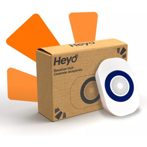 Récepteur sans-fil - 700m de portée (HEYO)