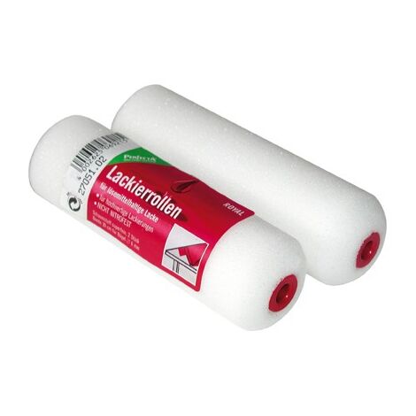 Recharge de mousse 5,5 - 2 pieces