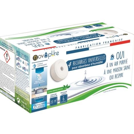 Recharge galet pour absorbeur d'humidité 500g x4 Menthe