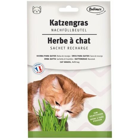 Recharge herbe à chat - 100 g