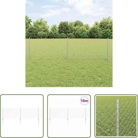 Recinzione in acciaio -  Recinzione con Posto Argento 0,6 x 10 m Acciaio