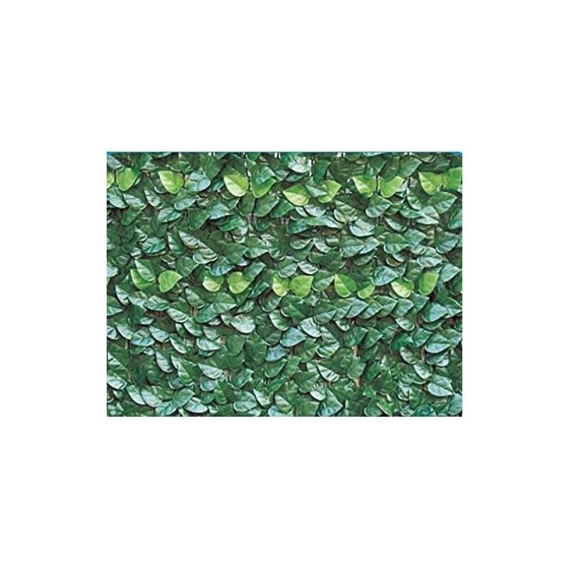 Clôture en pvc avec feuilles de laurier h. 150 l. 300