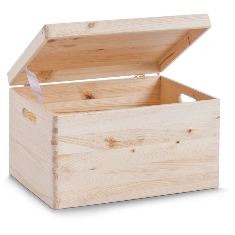 Zeller - Récipient de rangement, organiseur avec couvercle, 30 l