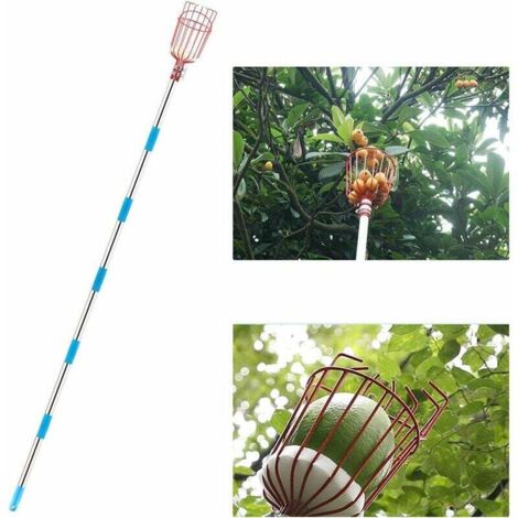 Recolector de frutas, recolector de frutas de 9 pies con canasta telescópica de aluminio liviana, agarrador de frutas fácil de ensamblar