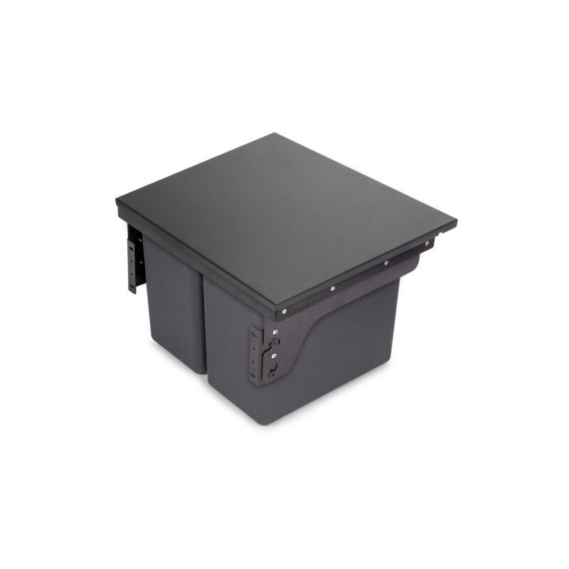 Emuca Bac de tri sélectif pour montage latéral sur meuble de cuisine Recycle 2x24litres, Acier, Plastique gris anthracite