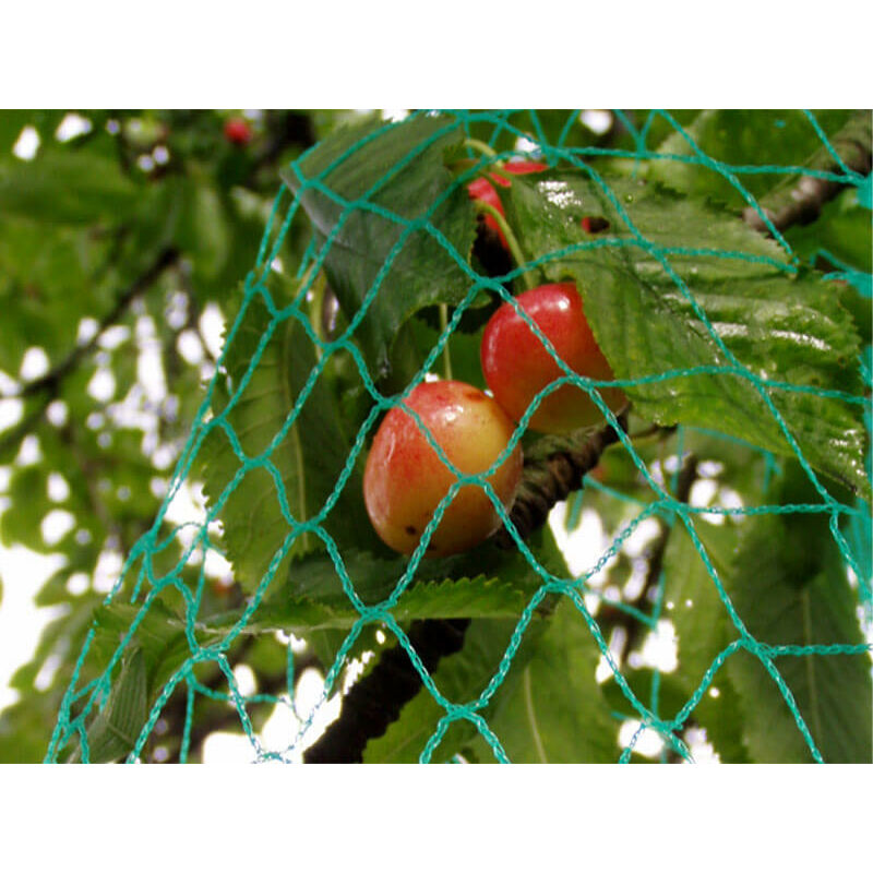 

Red antipájaros - Malla de 25 mm - Grandes dimensiones Verde de 12 m x 100 m