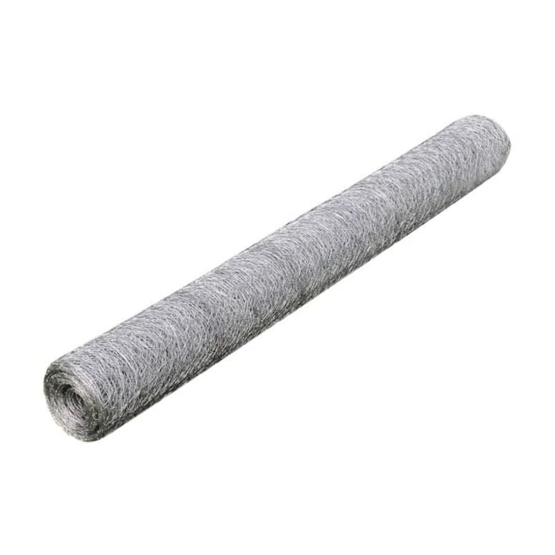 

Malla de Alambre de Acero Galvanizado Plateada 25x1 m Modelo 1 - Plateado - Vidaxl