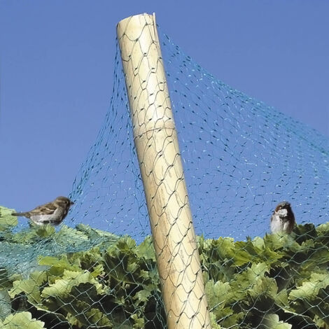 Red de protección contra aves Bg 6 X 4