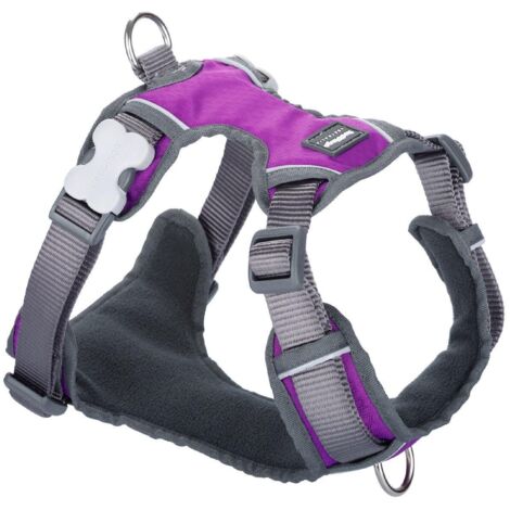 Red Dingo Dingo XS Harnais Violet pour Chien Petite Race