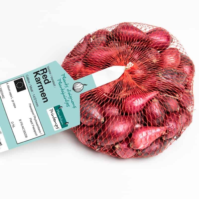 Debaere - Red karmen (rouge) Bulbes d'Oignons a repiquer 500gr