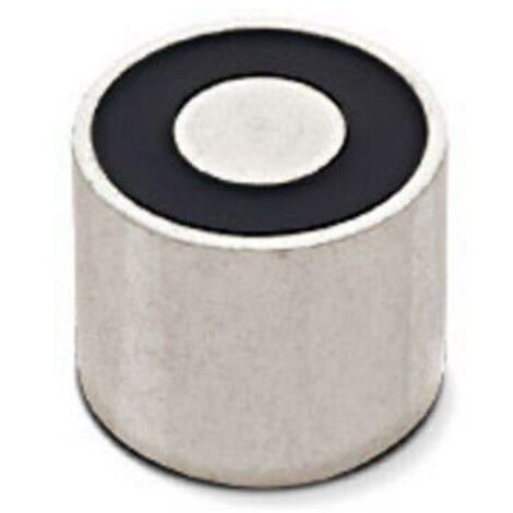 RED MAGNETICS Electroaimant aimanté (état hors tension) 120 N 24 V/DC 7 W ITS-PE-2529-24VDC Q262162