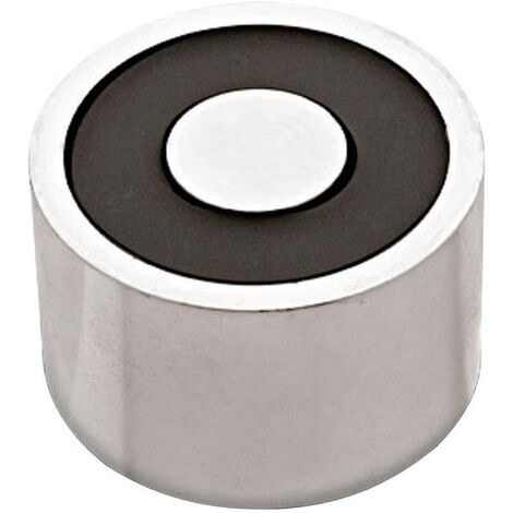 RED MAGNETICS Electroaimant aimanté (état hors tension) 500 N 12 V/DC 39 W ITS-PE-5029-12VDC