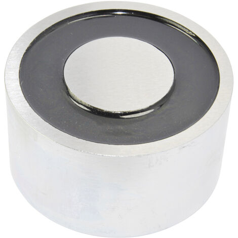 RED MAGNETICS Elektromagnet magnetisch (stromloser Zustand) 1900 N 12 V/DC 45 W ITS-PE-8245-12VDC