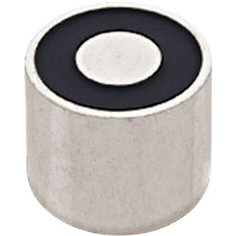 RED MAGNETICS Elektromagnet magnetisch (stromloser Zustand) 25 N 24 V/DC 3.6 W ITS-PE-1515-24VDC