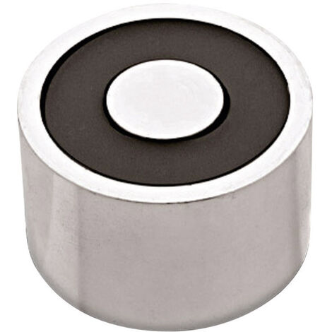 RED MAGNETICS Elektromagnet magnetisch (stromloser Zustand) 300 N 12 V/DC 28 W ITS-PE3529-12VDC