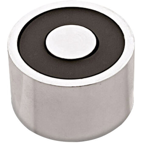 RED MAGNETICS Elektromagnet magnetisch (stromloser Zustand) 500 N 24 V/DC 39 W ITS-PE-5029-24VDC