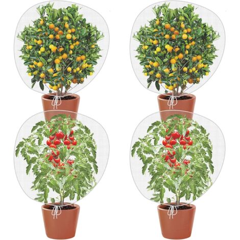 Red protectora para árboles frutales YMYNY, 4 bolsas antiinsectos para plantas, malla fina de 80 x 80 cm