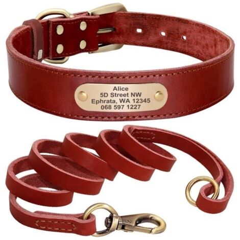 (Red Set / XS)Collier en cuir personnalisable pour chien, ensemble avec laisse pour animal de compagnie avec plaque signalétique à g