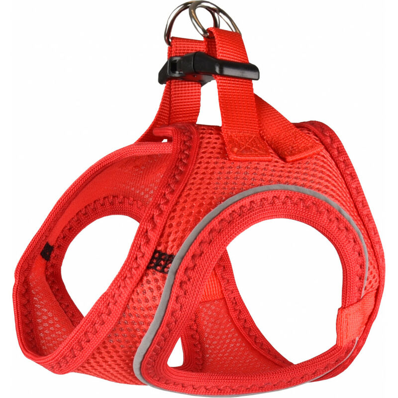 

Red XS. Arnés de Bento para el pequeño perro tipo yorkshire.