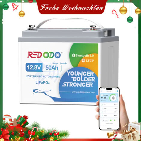 REDODO 12V50AH Lithium Batterie LiFePO4 Akku mit Bluetooth und Niedrigtemperatur-Abschaltschutz,verbessertes 50ABMS,perfekt für Trolling-Motor, Fischfinder, Wohnmobil, Solar