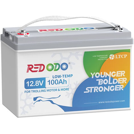 Redodo Batterie Lithium 12V100Ah Rechargeable LiFePO4, protection d'arrêt à basse température, BMS 100A Intégré, Bateaux, Camping-Cars, caravane, systèmes solaires, Hors-Réseau