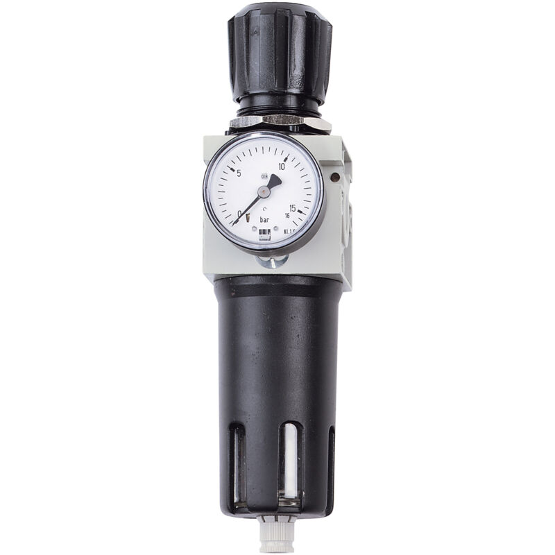 Détendeur à filtre Schneider FDM 1/4 W DGKD225026