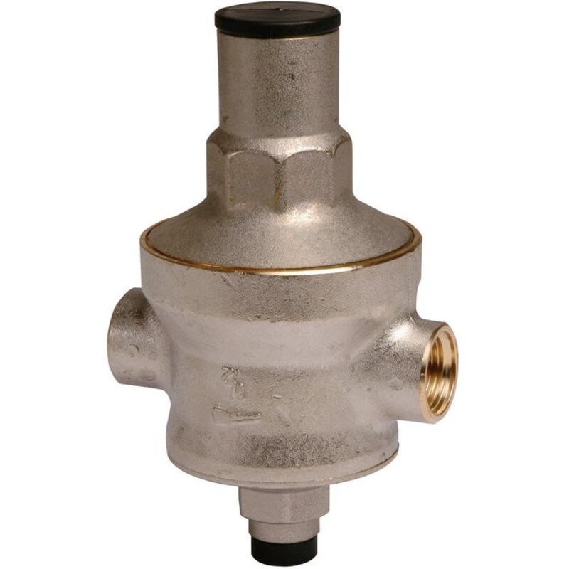RBM - Détendeur à membrane Rinox ff - 3/4'